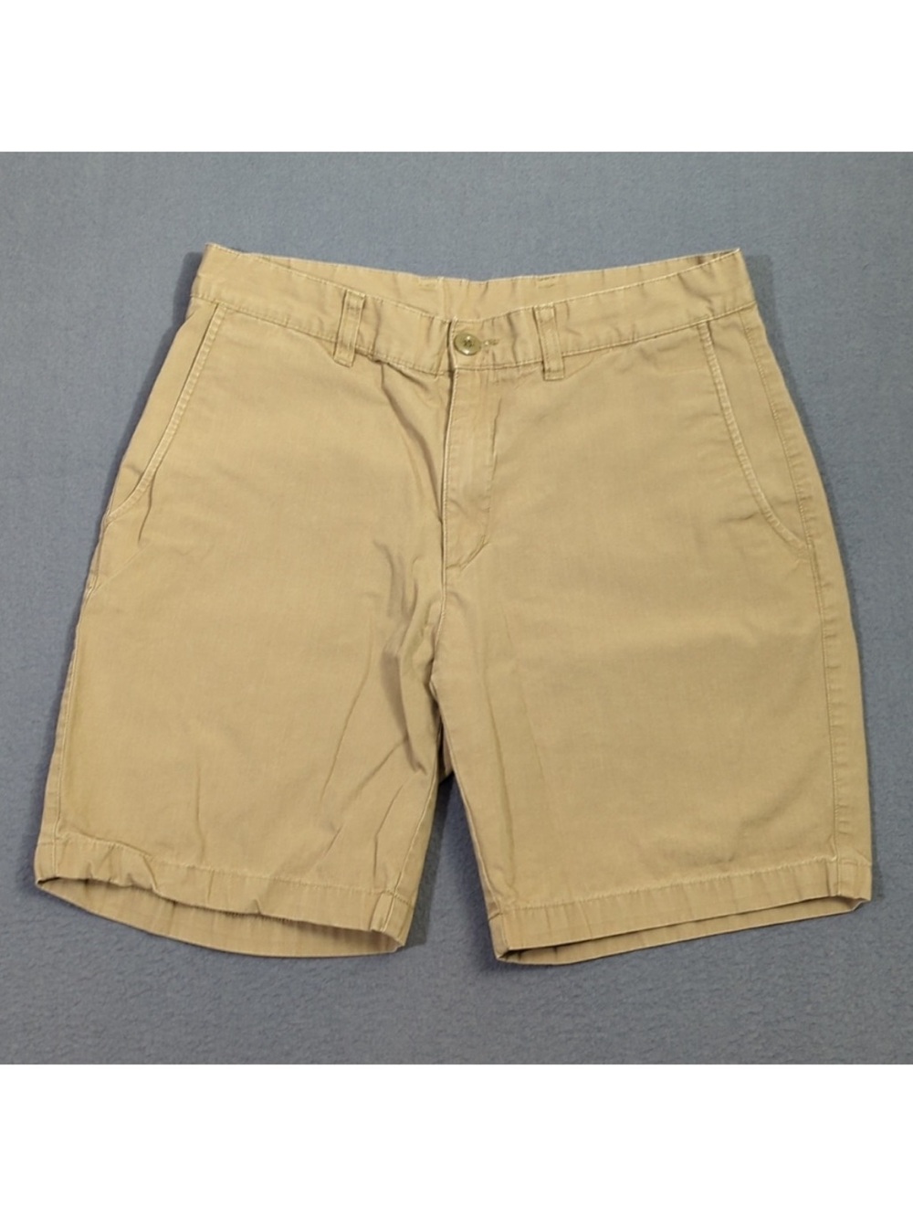 Patagonia Men's Flat-Front Khaki Shorts - Light Taupe